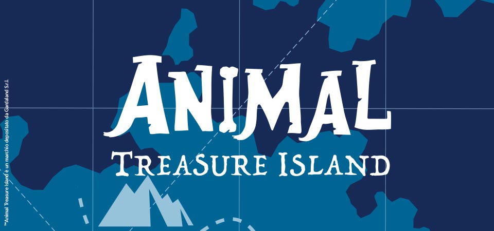Banner Animal Treasure Island