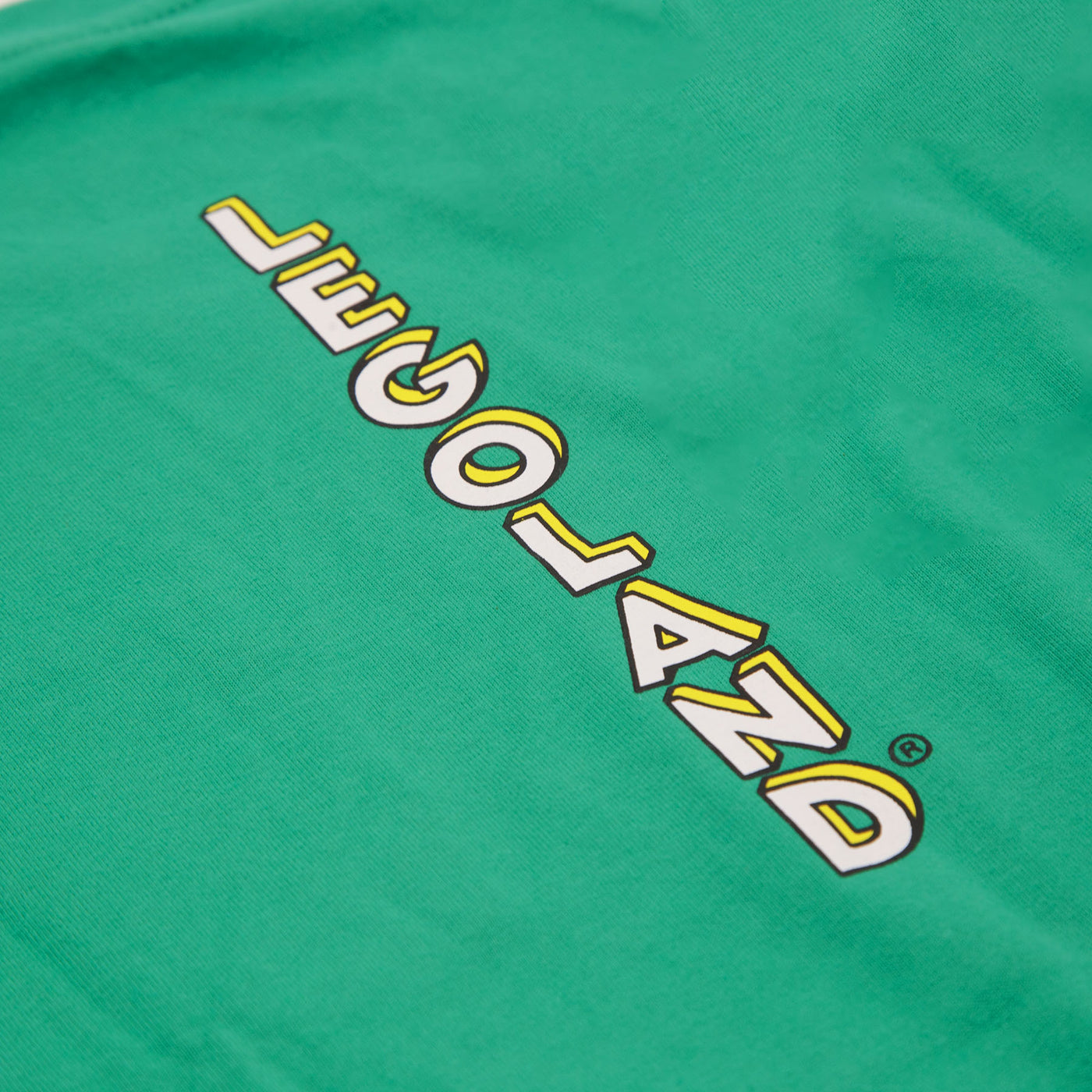 T-Shirt Ragazzo LEGOLAND®