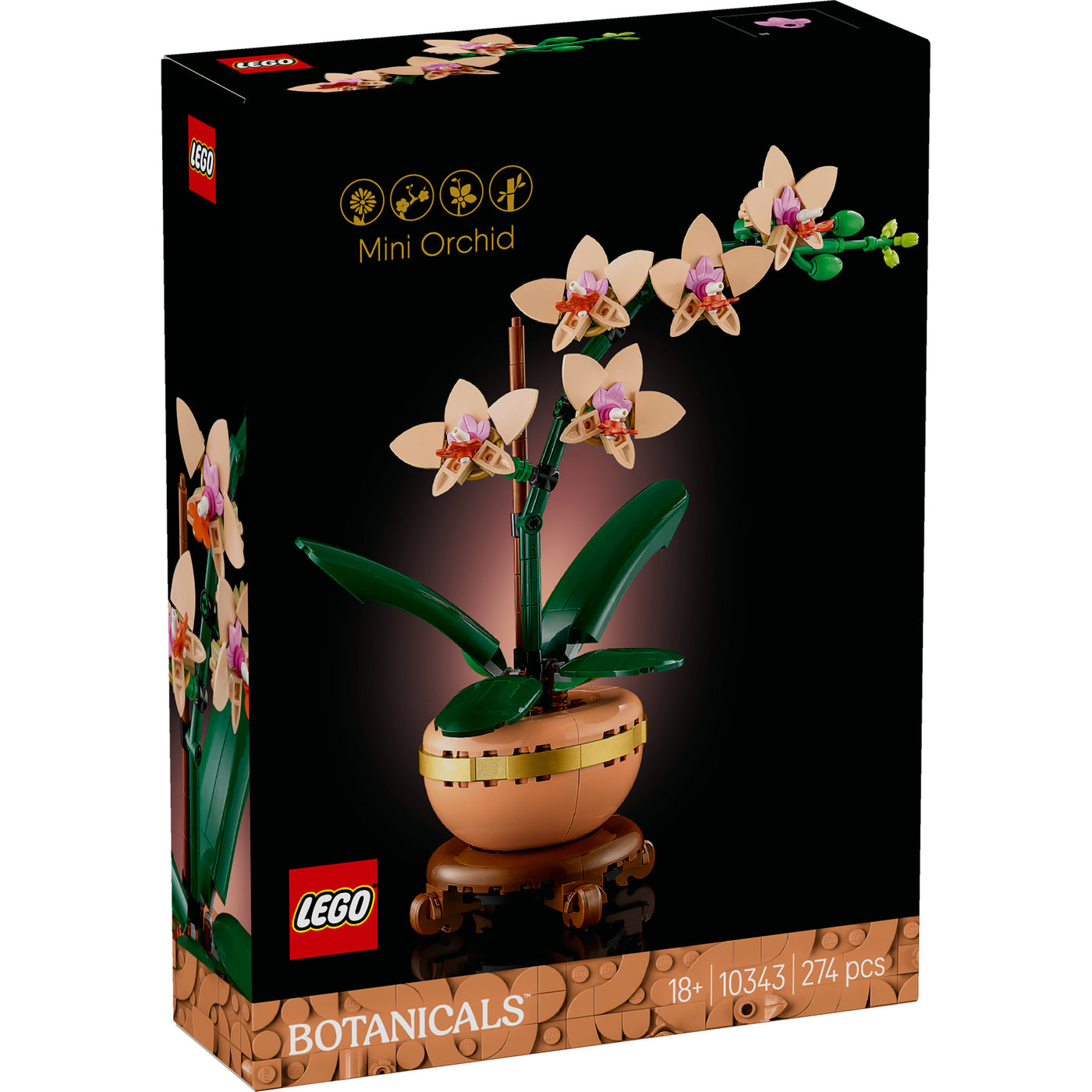 Mini-orchidea