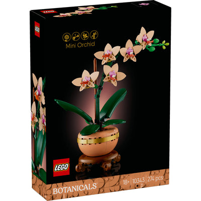 Mini-orchidea