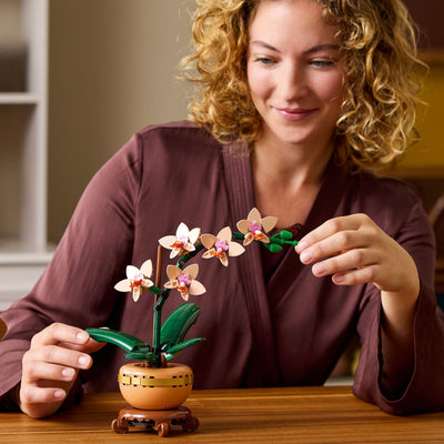 Mini-orchidea