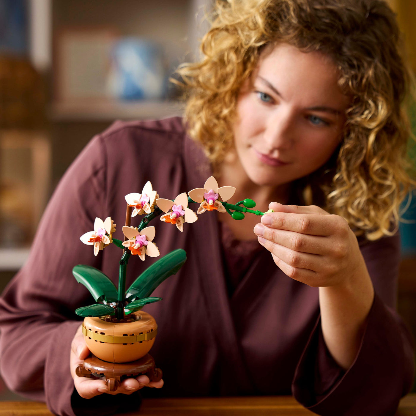 Mini-orchidea