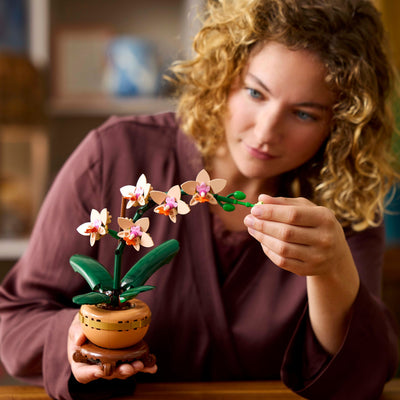 Mini-orchidea