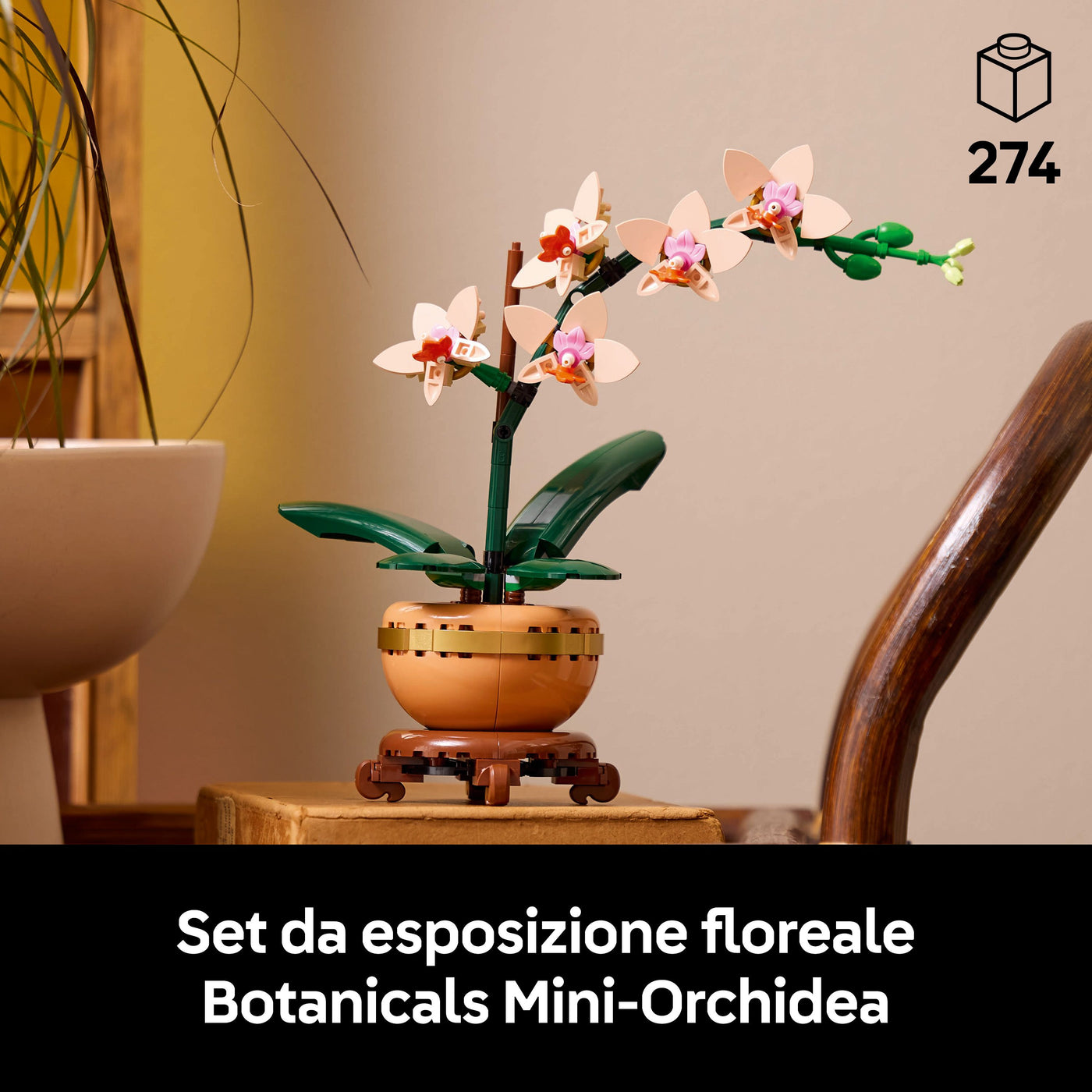 Mini-orchidea