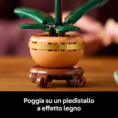 Mini-orchidea