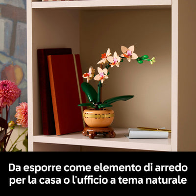 Mini-orchidea