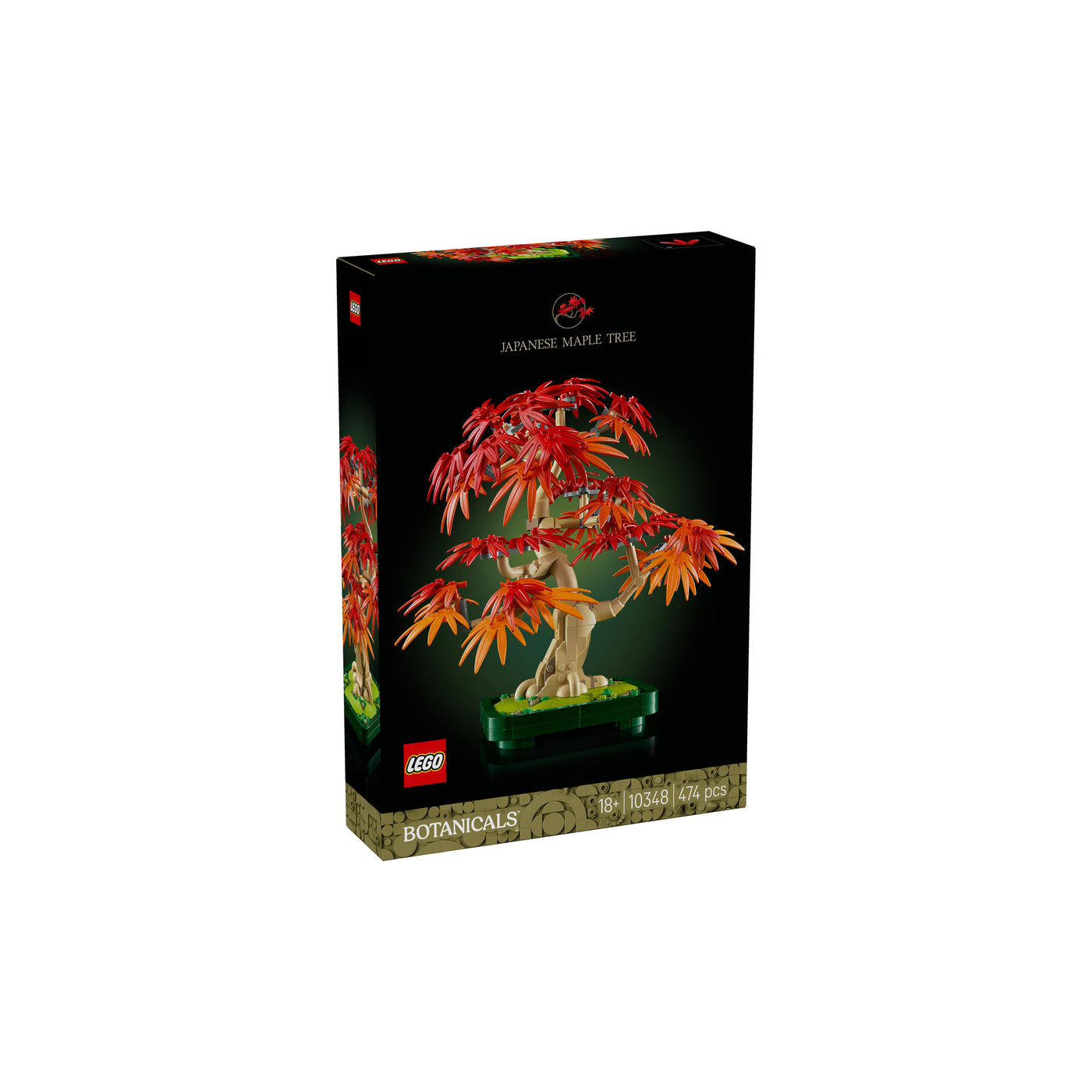 Bonsai di acero rosso giapponese visione con prospettiva laterale della scatola del set lego
