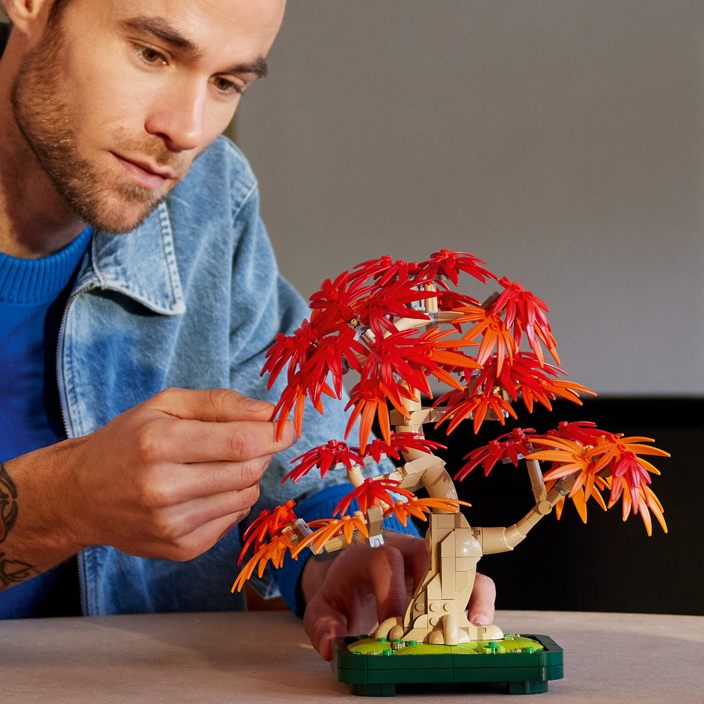 Bonsai di acero rosso giapponese fotografia uomo che tiene il set lego tra le mani
