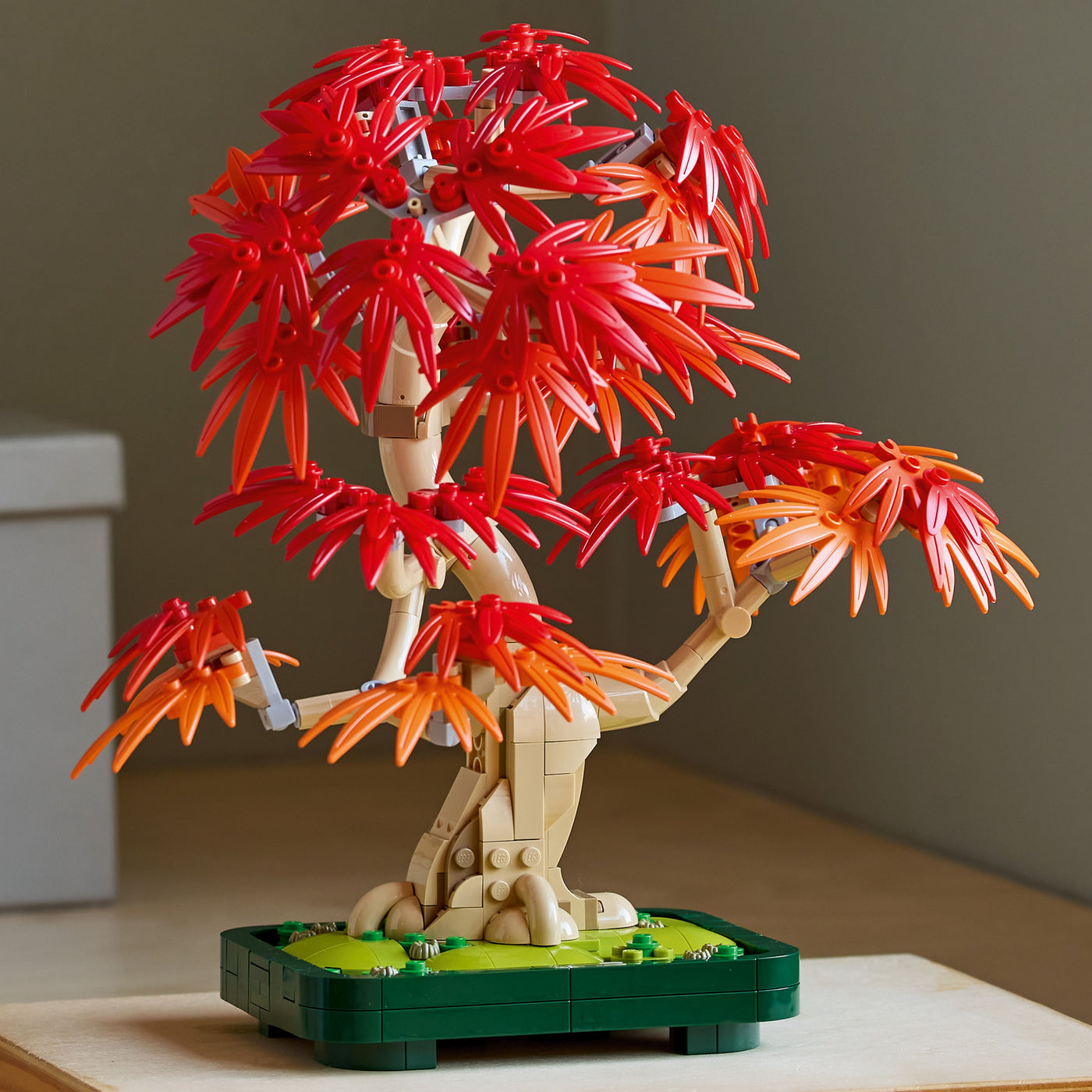 Bonsai di acero rosso giapponese fotografia del set lego costruito in ambiente domestico