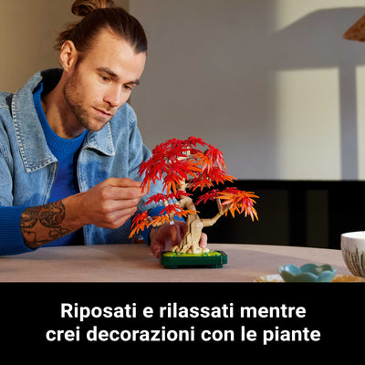 Bonsai di acero rosso giapponese fotografia promozionale "Riposati e rilassati mentre crei decorazioni con le piante"