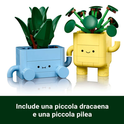 Piantine felici visione dettaglio piante "Include una piccola dracaena e una piccola pilea"