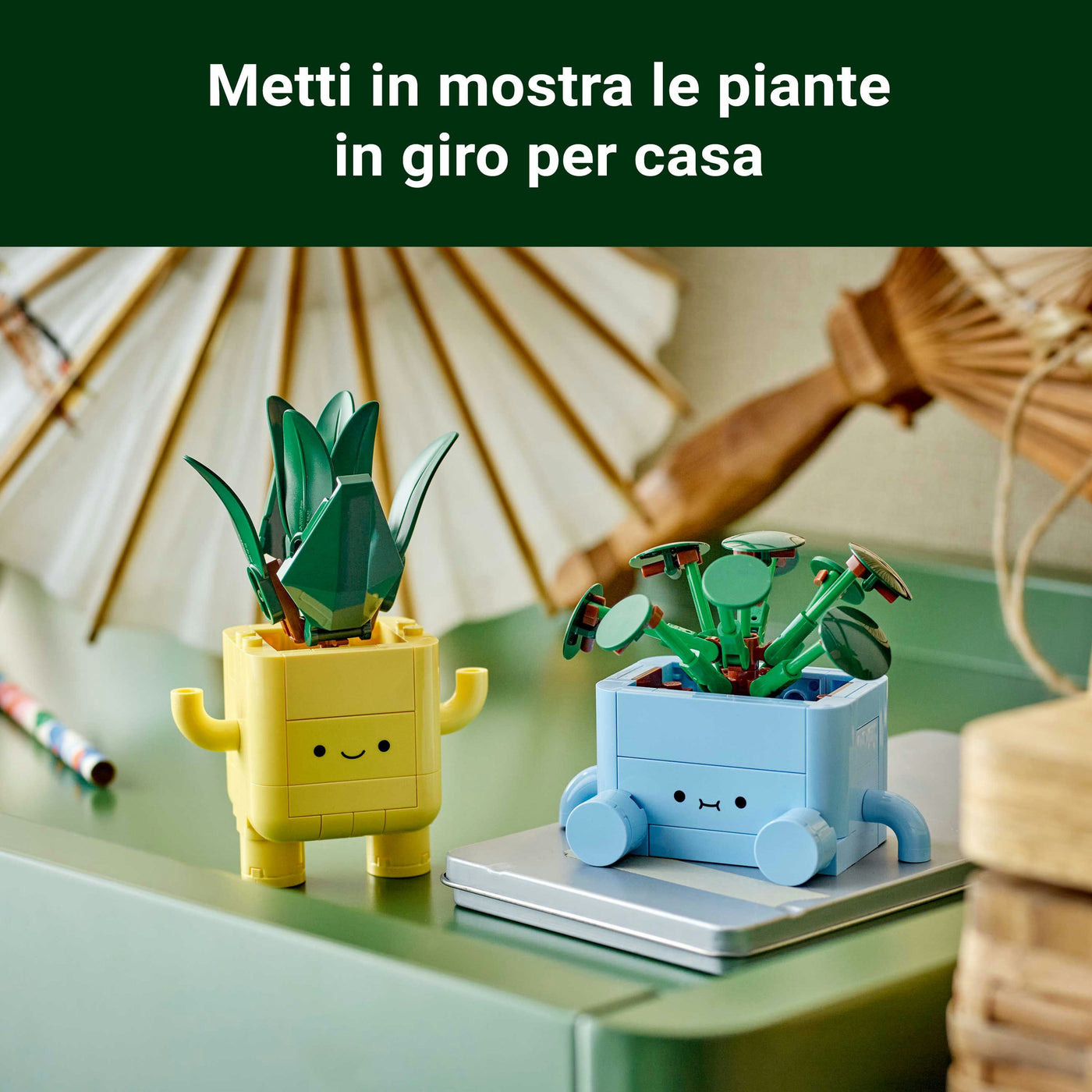 Piantine felici fotografia promozionale "Metti in mostra le piante in giro per casa"