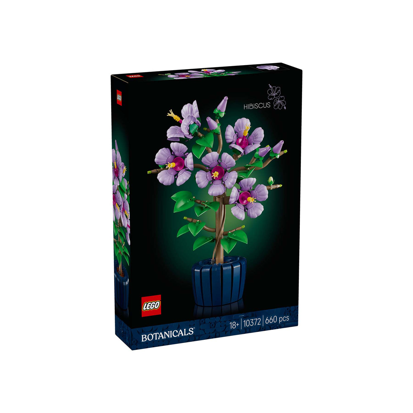 Ibisco visione frontale della scatola del set lego