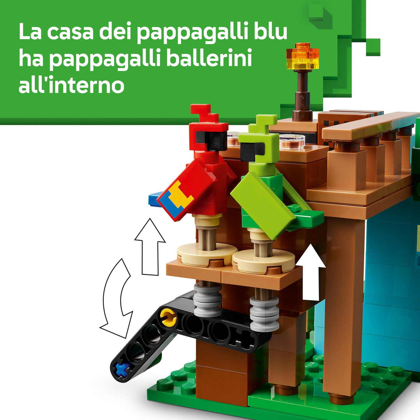 Le case pappagallo