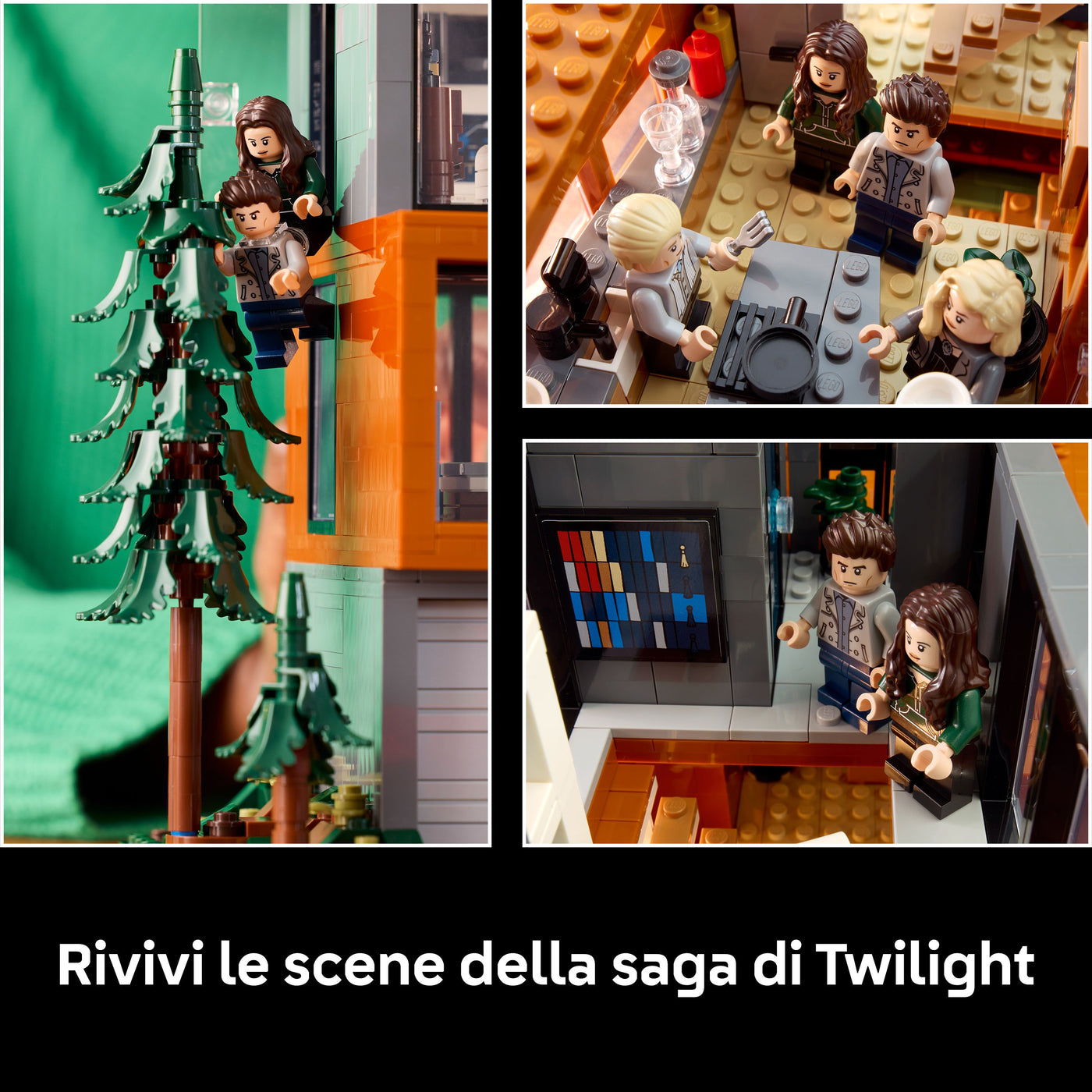 Twilight: la Casa dei Cullen