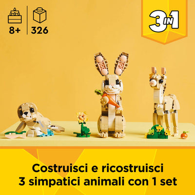 Adorabile Coniglio