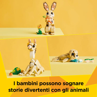 Adorabile Coniglio