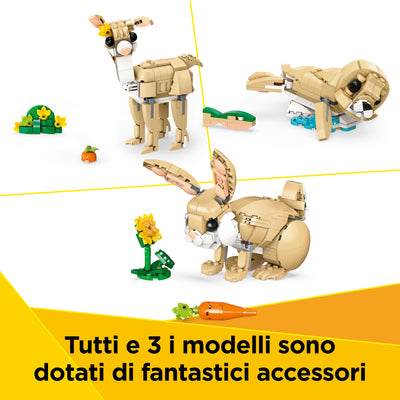 Adorabile Coniglio