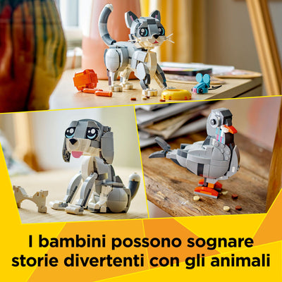Gatto giocoso fotografia promozionale "I bambini possono sognare storie divertenti con gli animali"