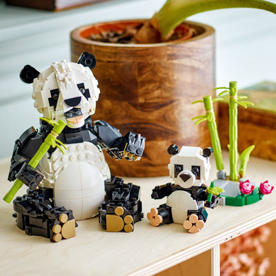 Animali selvatici: famiglia di panda