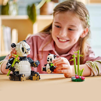 Animali selvatici: famiglia di panda
