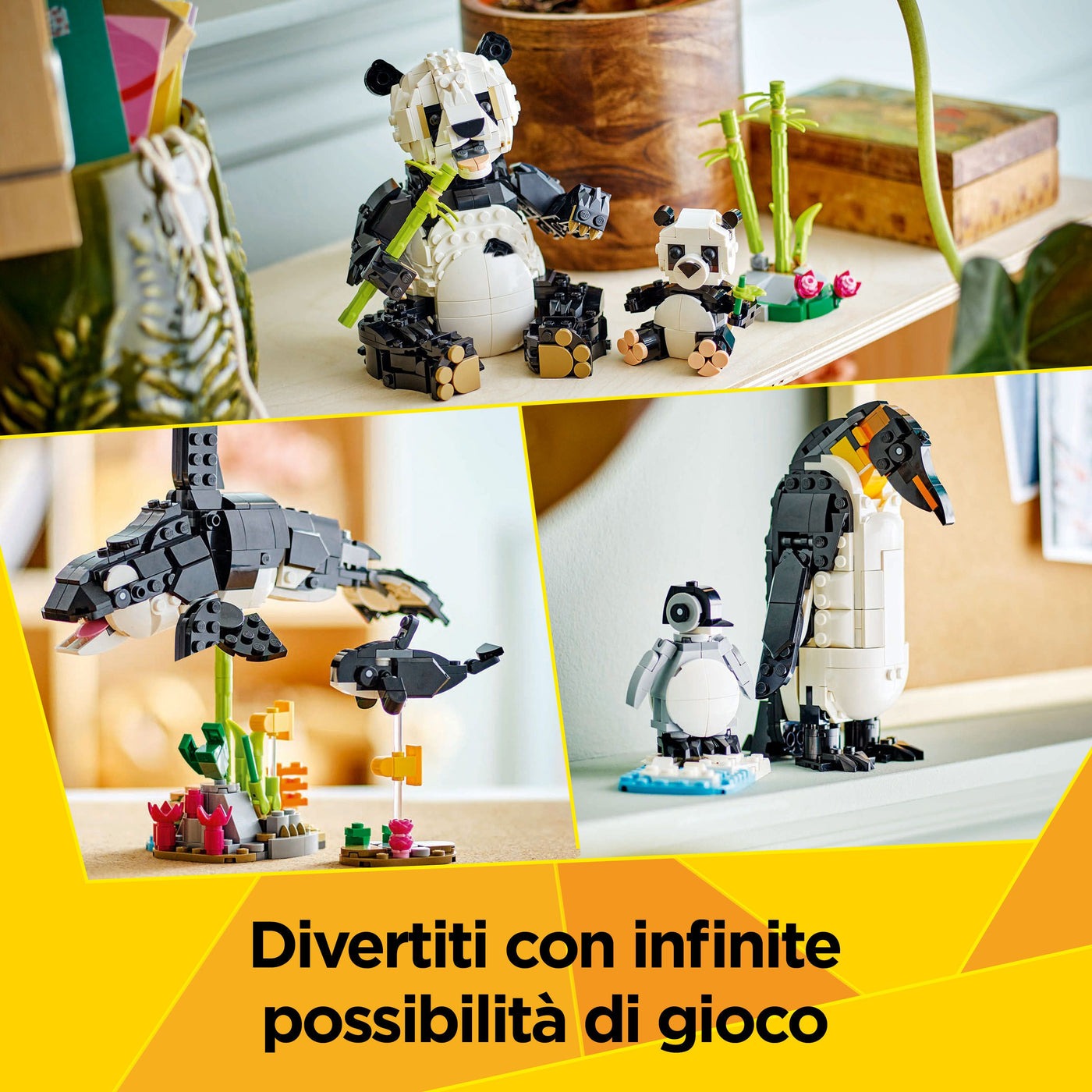 Animali selvatici: famiglia di panda