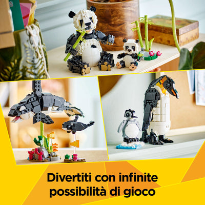 Animali selvatici: famiglia di panda