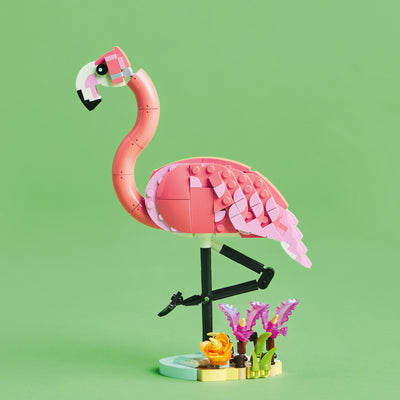 Animali selvatici: fenicottero rosa