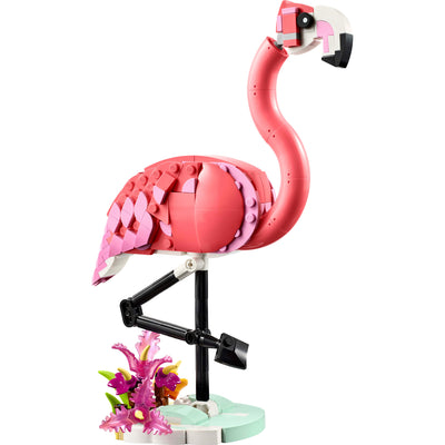 Animali selvatici: fenicottero rosa