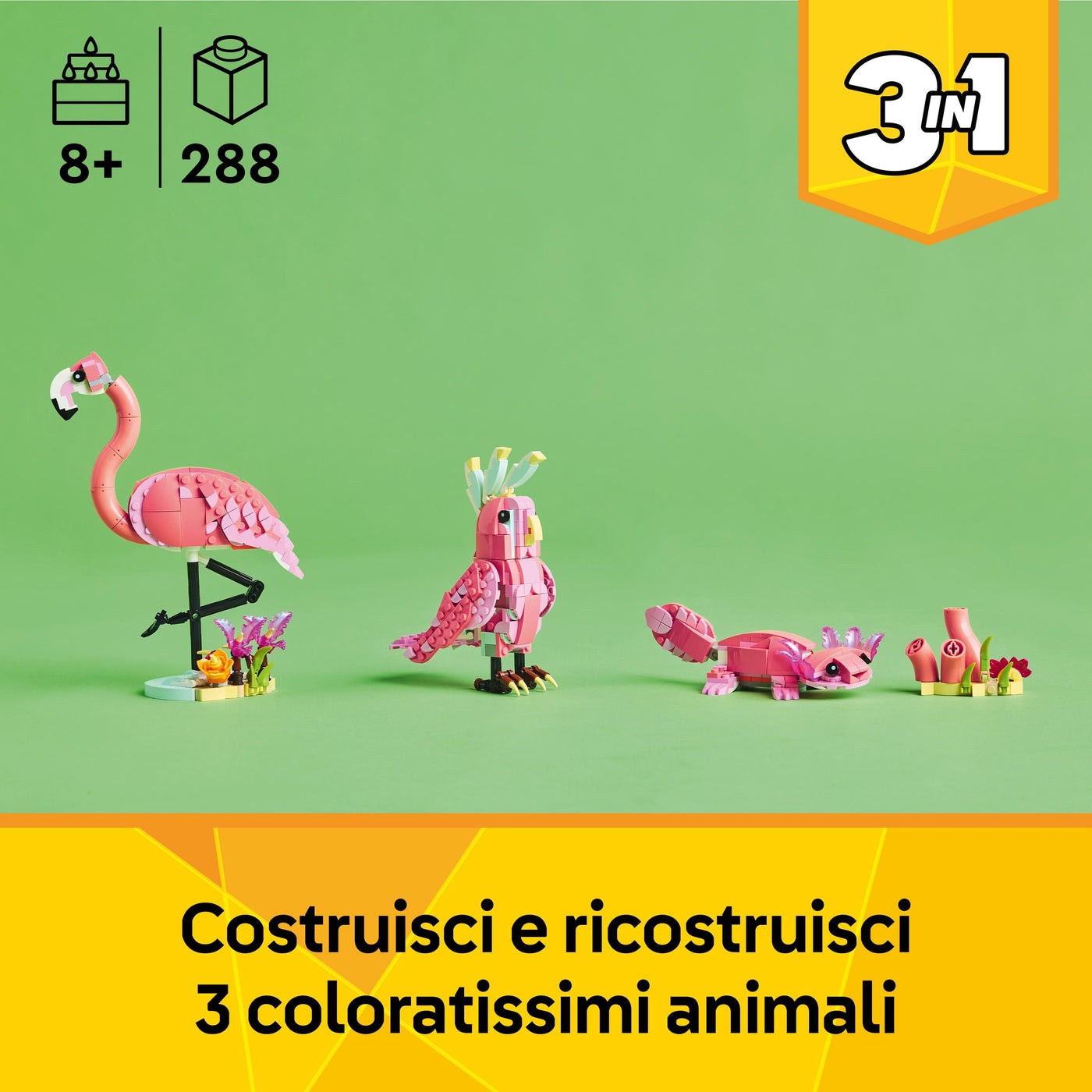 Animali selvatici: fenicottero rosa