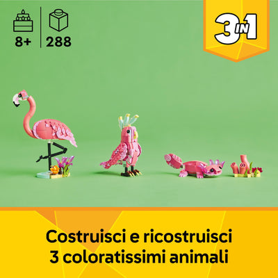 Animali selvatici: fenicottero rosa