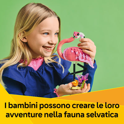 Animali selvatici: fenicottero rosa