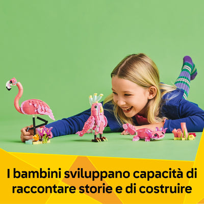 Animali selvatici: fenicottero rosa
