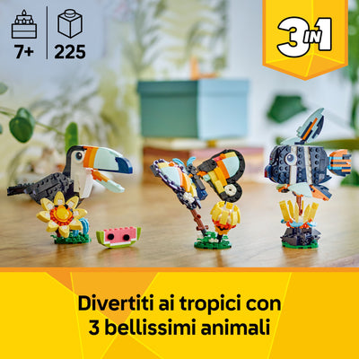 Animali selvatici: tucano tropicale fotografia promozionale "Divertiti ai tropici con 3 bellissimi animali"