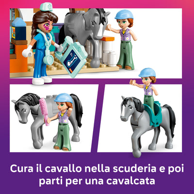 Cavallo e clinica veterinaria