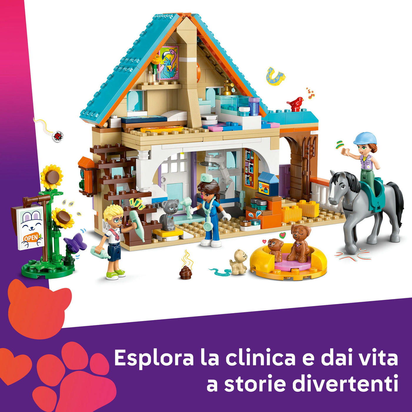 Cavallo e clinica veterinaria