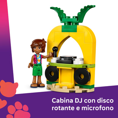 Pool Party con unicorno e fenicottero fotografia promozionale "Cabina DJ con disco rotante e microfono"
