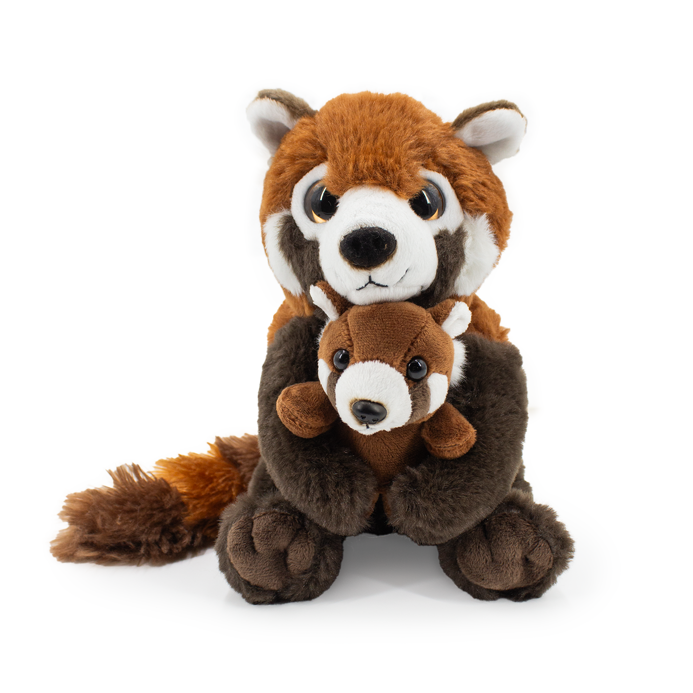 Panda rosso con Baby visione frontale