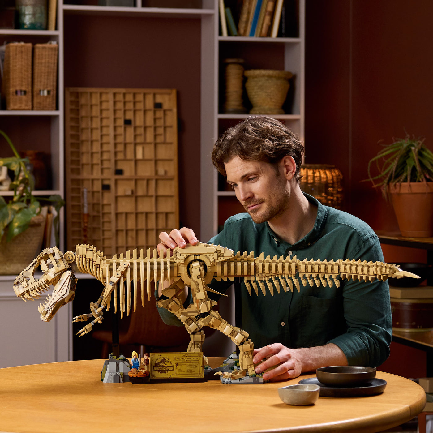 Fossili di dinosauro: Tirannosauro