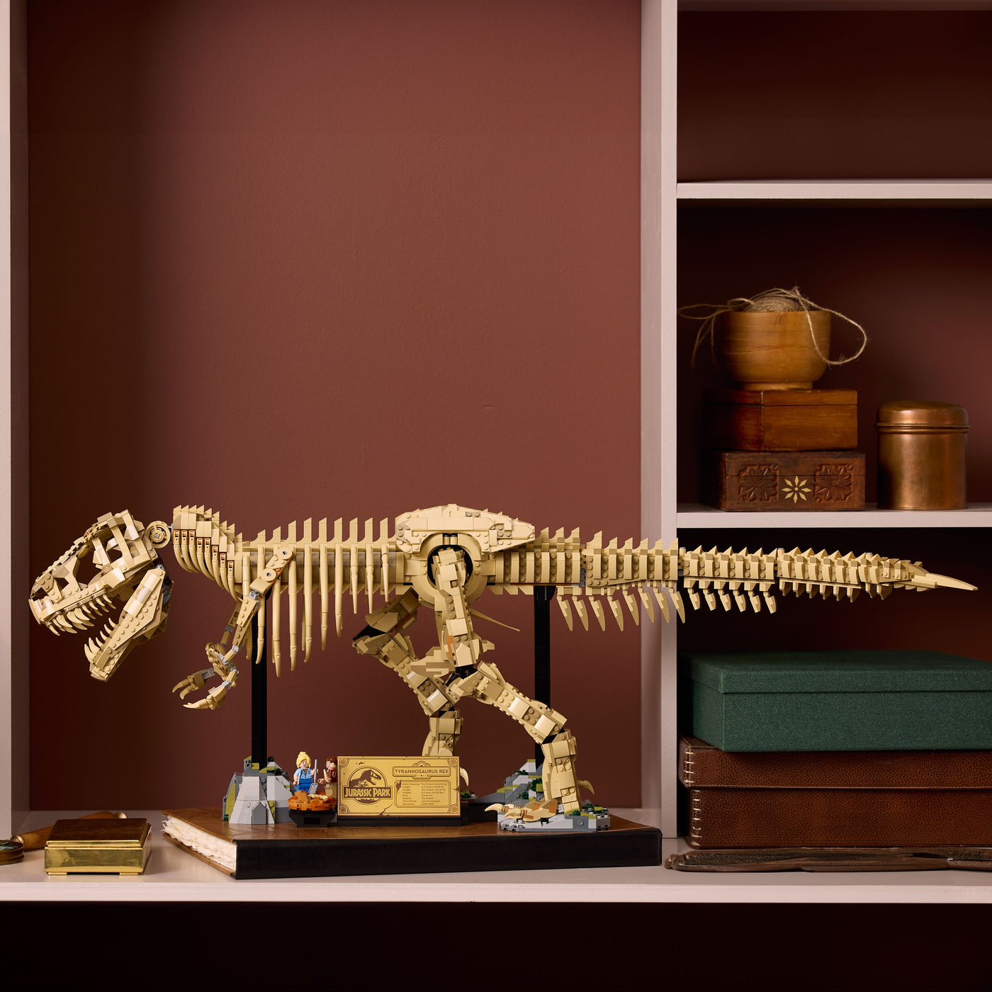 Fossili di dinosauro: Tirannosauro