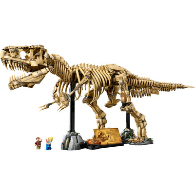 Fossili di dinosauro: Tirannosauro