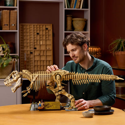 Fossili di dinosauro: Tirannosauro