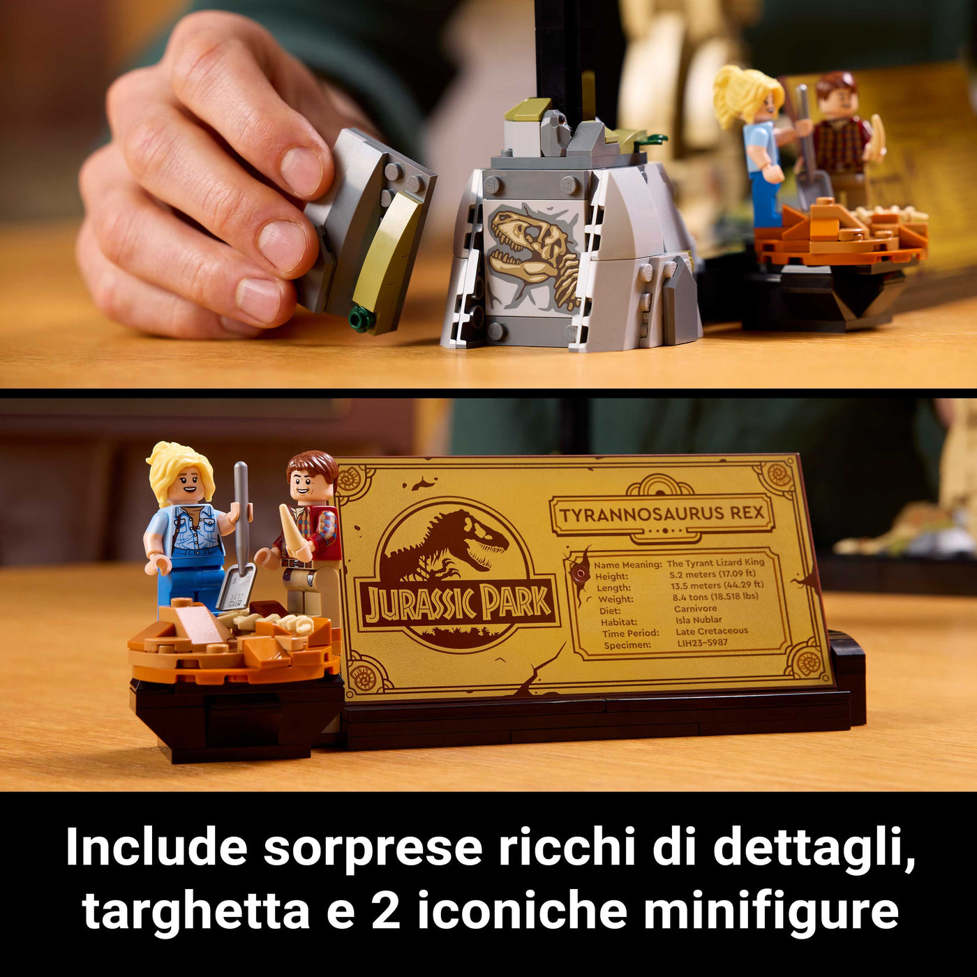 Fossili di dinosauro: Tirannosauro