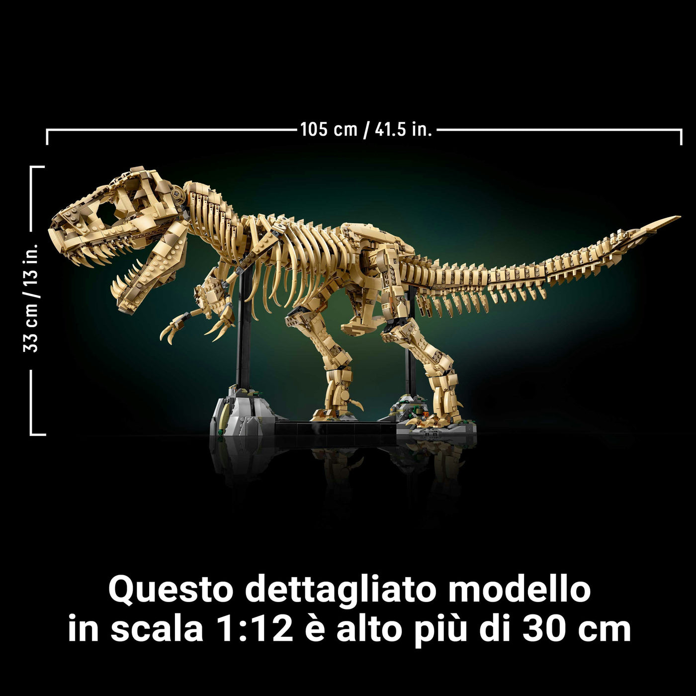 Fossili di dinosauro: Tirannosauro