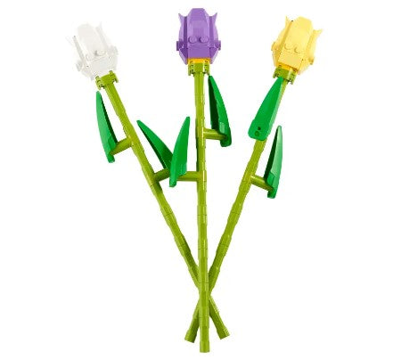Fiori Tulipani